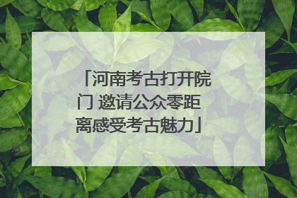 河南考古打开院门 邀请公众零距离感受考古魅力
