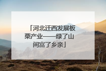 河北迁西发展板栗产业——绿了山间富了乡亲