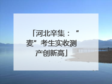 河北辛集：“麦”考生实收测产创新高