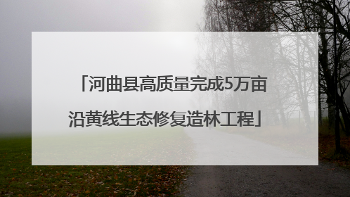 河曲县高质量完成5万亩沿黄线生态修复造林工程