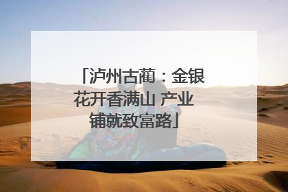 泸州古蔺：金银花开香满山 产业铺就致富路