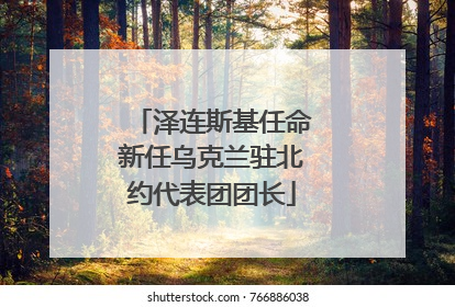 泽连斯基任命新任乌克兰驻北约代表团团长