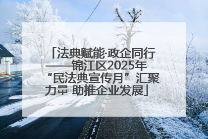 法典赋能·政企同行——锦江区2025年“民法典宣传月”汇聚力量 助推企业发展