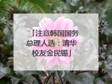 注意韩国国务总理人选：清华校友金民锡
