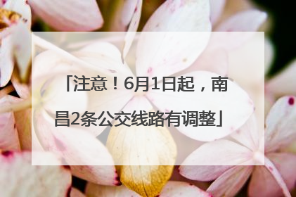 注意！6月1日起，南昌2条公交线路有调整