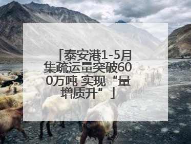 泰安港1-5月集疏运量突破600万吨 实现“量增质升”