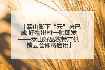 泰山脚下“云”势已成 好物出村一触即发——泰山好品农特产供销云仓即将启用