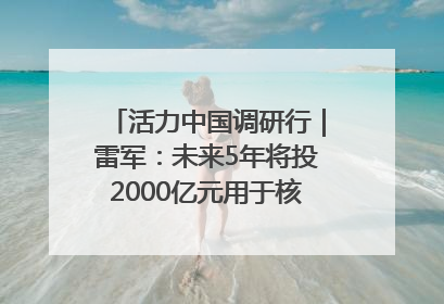 活力中国调研行｜雷军：未来5年将投2000亿元用于核心技术研发