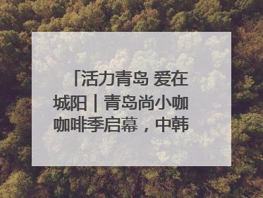 活力青岛 爱在城阳｜青岛尚小咖咖啡季启幕，中韩消费新场景点燃夏日热情