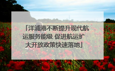 洋浦港不断提升现代航运服务能级 促进航运扩大开放政策快速落地