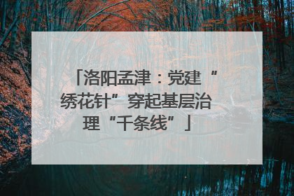 洛阳孟津：党建“绣花针”穿起基层治理“千条线”