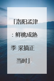 洛阳孟津：鲜桃成熟季 采摘正当时
