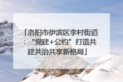 洛阳市伊滨区李村街道：“党建+公约”打造共建共治共享新格局