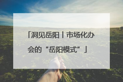 洞见岳阳丨市场化办会的“岳阳模式”