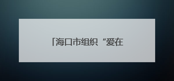 海口市组织“爱在椰城 情牵军营”军地青年联谊活动