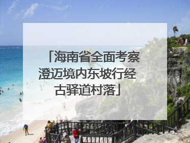 海南省全面考察澄迈境内东坡行经古驿道村落