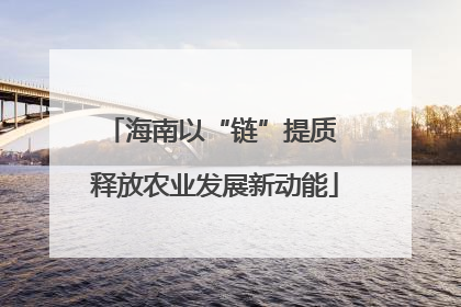海南以“链”提质 释放农业发展新动能