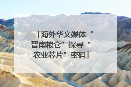 海外华文媒体“晋南粮仓”探寻“农业芯片”密码