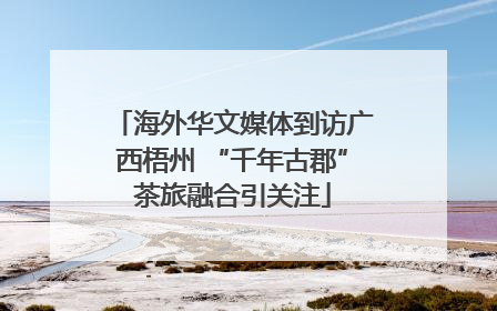 海外华文媒体到访广西梧州 “千年古郡”茶旅融合引关注