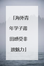 海外青年学子莆田感受非遗魅力