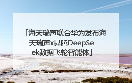 海天瑞声联合华为发布海天瑞声x昇腾DeepSeek数据飞轮智能体