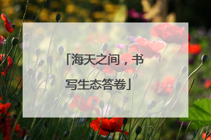 海天之间，书写生态答卷