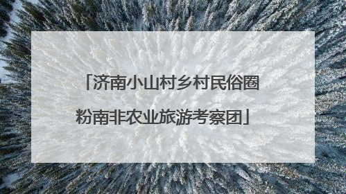 济南小山村乡村民俗圈粉南非农业旅游考察团