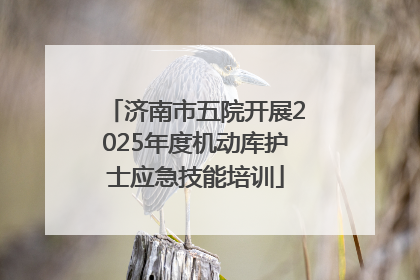 济南市五院开展2025年度机动库护士应急技能培训