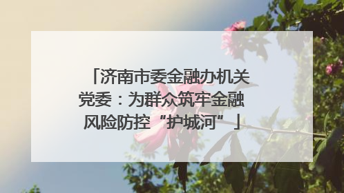 济南市委金融办机关党委：为群众筑牢金融风险防控“护城河”