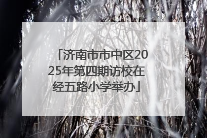 济南市市中区2025年第四期访校在经五路小学举办