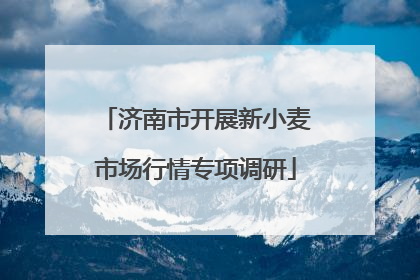 济南市开展新小麦市场行情专项调研