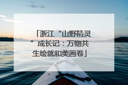 浙江“山野精灵”成长记：万物共生绘就和美画卷
