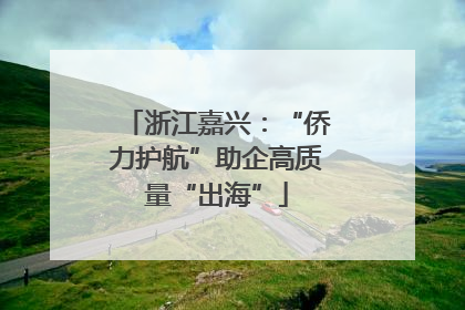 浙江嘉兴：“侨力护航”助企高质量“出海”