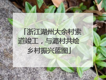 浙江湖州大余村索道竣工，与潞村共绘乡村振兴蓝图