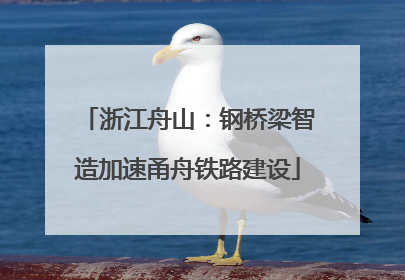 浙江舟山：钢桥梁智造加速甬舟铁路建设