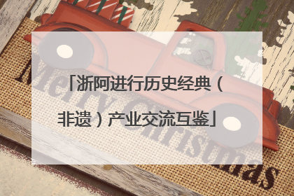 浙阿进行历史经典（非遗）产业交流互鉴