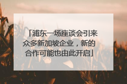 浦东一场座谈会引来众多新加坡企业，新的合作可能也由此开启