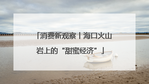 消费新观察丨海口火山岩上的“甜蜜经济”