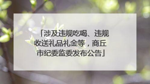 涉及违规吃喝、违规收送礼品礼金等，商丘市纪委监委发布公告