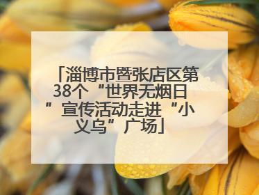 淄博市暨张店区第38个“世界无烟日”宣传活动走进“小义乌”广场