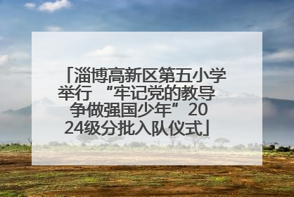 淄博高新区第五小学举行 “牢记党的教导 争做强国少年”2024级分批入队仪式