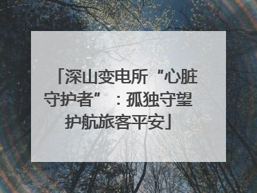 深山变电所“心脏守护者”：孤独守望护航旅客平安