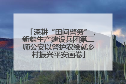 深耕“田间警务”，新疆生产建设兵团第二师公安以警护农绘就乡村振兴平安画卷