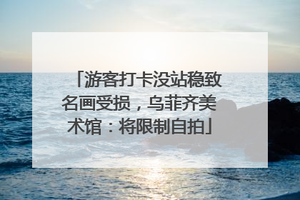 游客打卡没站稳致名画受损，乌菲齐美术馆：将限制自拍