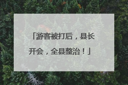 游客被打后，县长开会，全县整治！