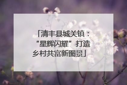 清丰县城关镇：“星辉闪耀”打造乡村共富新图景