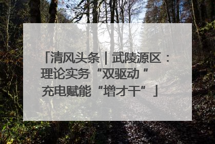 清风头条｜武陵源区：理论实务“双驱动 ” 充电赋能“增才干”
