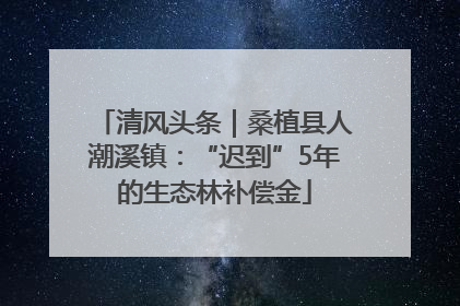 清风头条｜桑植县人潮溪镇：“迟到”5年的生态林补偿金