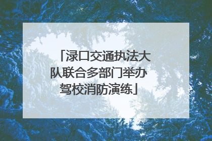 渌口交通执法大队联合多部门举办驾校消防演练