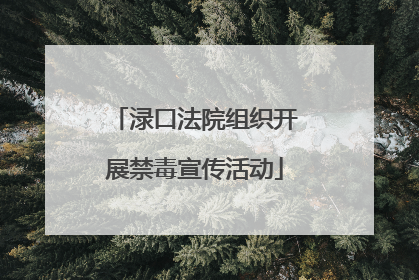 渌口法院组织开展禁毒宣传活动